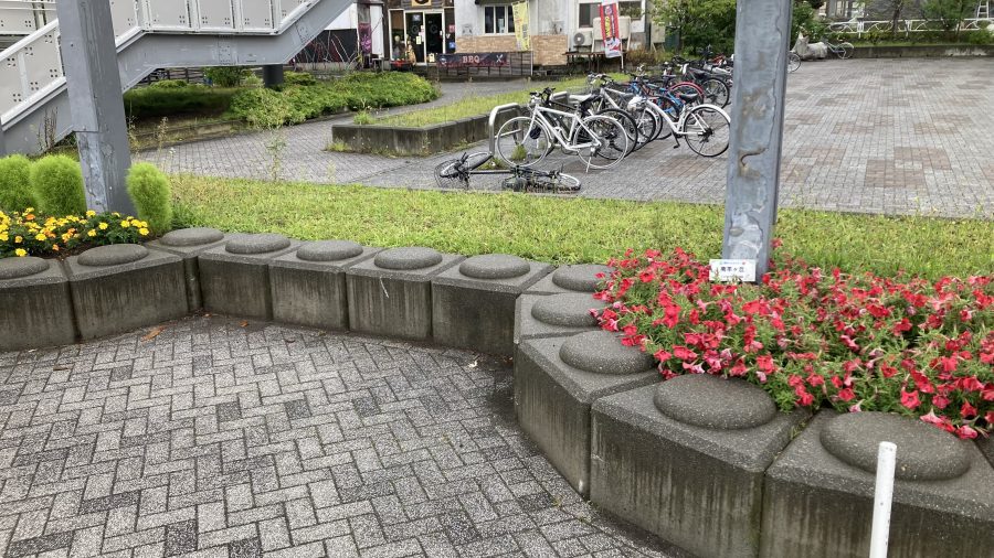 お知らせの写真